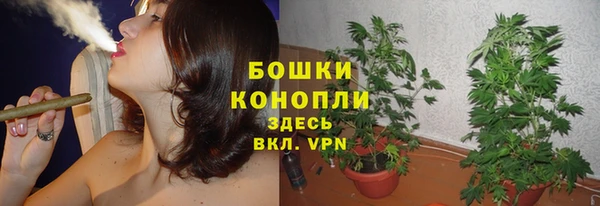 а пвп мука Бородино