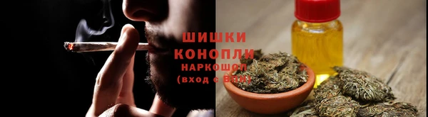 дживик Верхний Тагил