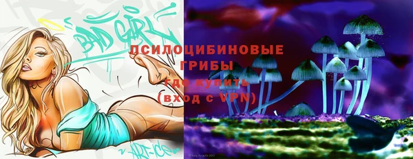 прущая мука Бугульма